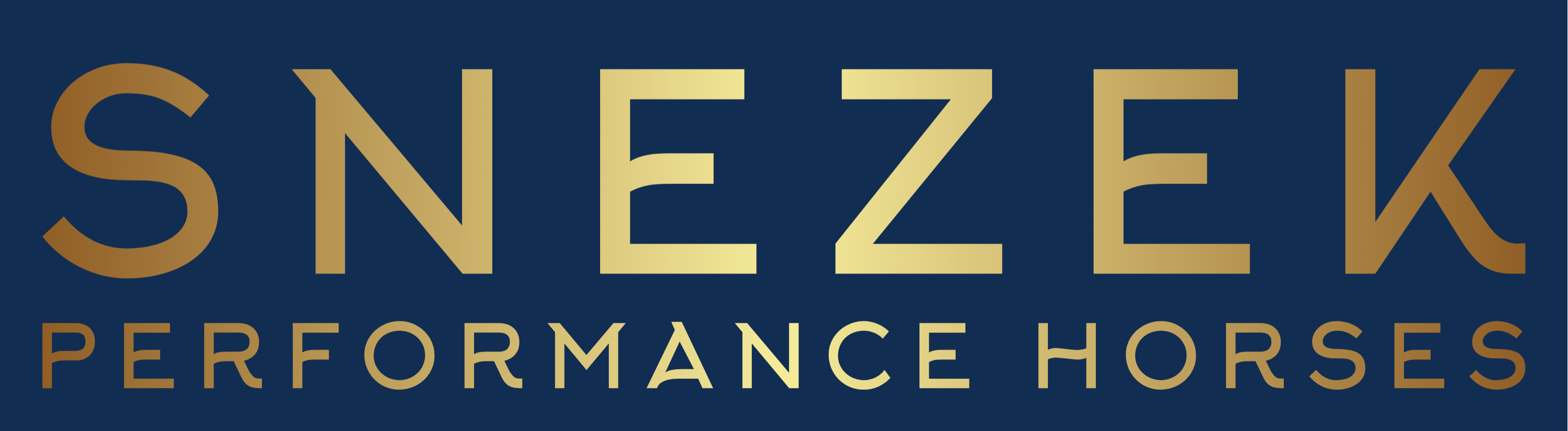 Snezek Performance Horses